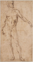 A+ 019
<br/>
Staand mannelijk naakt
<br/>
<em>Bandinelli, Baccio (1493-1560) - kopie naar</em>